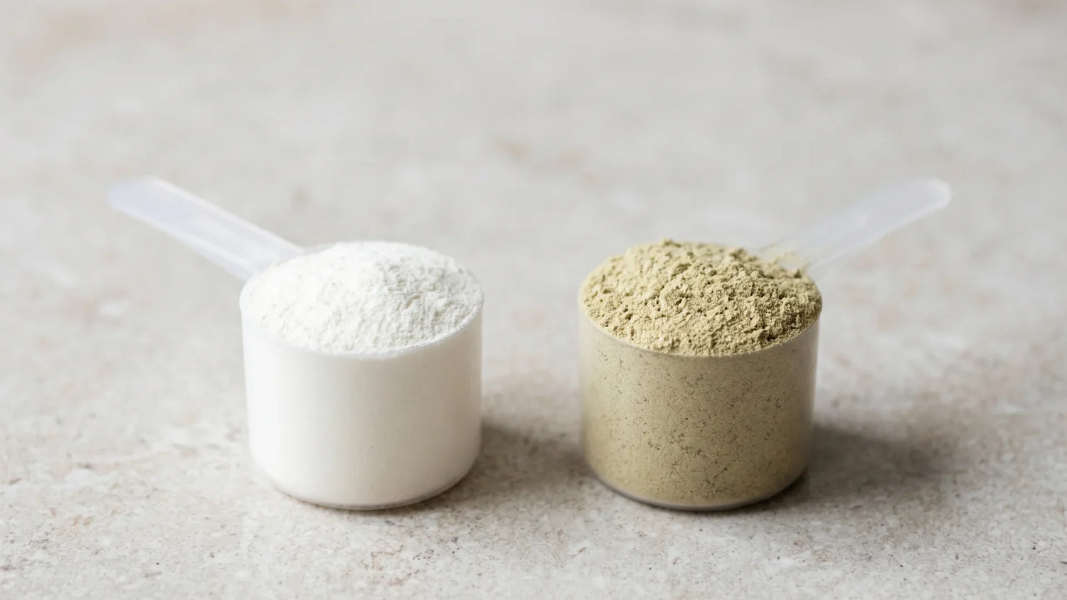 Whey protein and vegan protein powder side by side – two scoops on stone surface